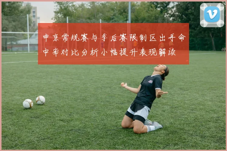 申京常规赛与季后赛限制区出手命中率对比分析小幅提升表现解读